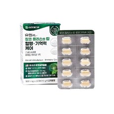 유한메디카 징코 플러스 엔 탑 혈행 기억력 케어 3박스 6개월분 35158080, 30g