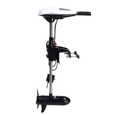 하이보 가이드모터 선외기 밸리용 공용 전기모터 밸리 낚시 고무보트, 2. D54 해수 12V 600kg 그물 포함