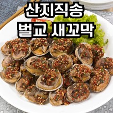 [한정특가] 벌교 꼬막 새꼬막 산지직송, 1개, 1kg(80미)