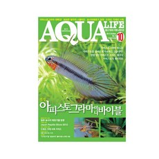 아쿠아라이프 2013년 10월호, 단품