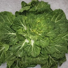 땅끝 해남 직송 봄동 배추 제철 신선 채소 겉절이 김치용, 10kg, 1박스