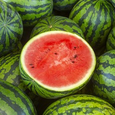 [산지직송] 맛좋은 하우스 수박 (당도선별 12brix 이상), 1개, 꿀 수박 [7-8kg]