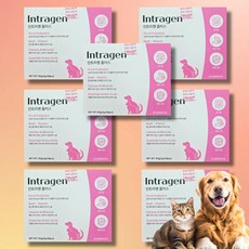 인트라젠유산균 인트라젠 강아지종합영양제, 장건강/유산균, 7개