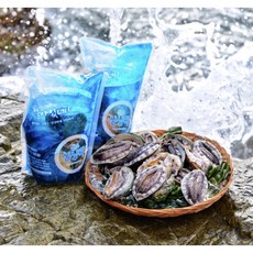 [4은행사] 18미 소 옥수산 완도 전복 1kg 6미부터 참전복 선물세트 사은품 증정 [원산지:국산(전라남도 완도군)], 1세트