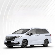 음성 차단 보이스 레이어 차량용 문용 밀봉 스크류 방수 장식용, Honda Odyssey/2000-2004, 1 [Four-door Suit] Send centra, 1개