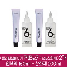 시세이도 프리미언스 엔리치 염색약 PtBe7 2개분 ( 1제 160g + 2제 6% 산화제 200ml ), 2개