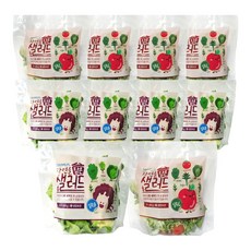 데이밀 자연을담은 샐러드 혼합구성 실속B+실속C 국내산 야채믹스 과채믹스, 10개, 100g