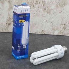 엠에스몰 25w 삼파장 전구 주광색 현관등, 1