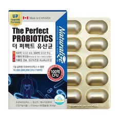 네추럴라이즈 100억 보장 더 퍼펙트 유산균, 60정, 1개