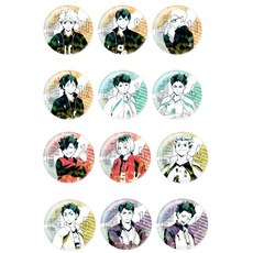 日穀正版排球少年隊服閃吧唧徽章 日向翔陽 及川徹 孤爪 週邊, 1個, 日穀正版 vol2整盒,約長56mm x 寬56mm x 厚5m