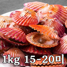 [오늘새벽조업] 세척 홍가리비 kg당 15-20미내외, 1개, 1kg x 8