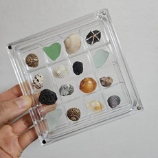 아크릴 조개 케이스 보관함 16칸 (2.1cm), 1개