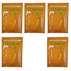 [그린 단독] 붙이는 홍삼 한방 찜질패드 100매 세트 / 냄새 적은 순한 파스 / 어깨 허리 무릎 통증 완화 / 국내생산 접착력강화, 국산 홍삼 한방 패드 건강 파스 20매입 5개, 5개