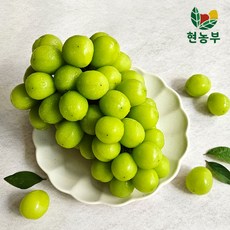 산지직송 샤인머스켓 당도보장, 특품,4kg,4-5수, 1개