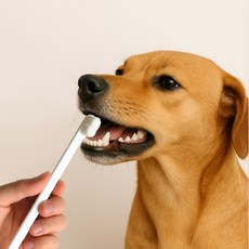 빌바오 반려동물칫솔 초미세만모 펫프랜 화이트 클린케어 개칫솔