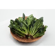 국내산 남해안 시금치, 1개, 500g