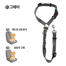반려동물 안전벨트 강아지 고양이 이동용 고정줄 보호끈, 1개, 그레이