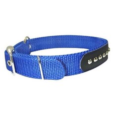 심플한목줄 강아지 반려견 나일론 목테 중형 강아지목줄 댕댕이 애견