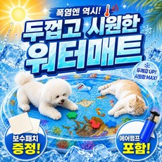 이루앙 강아지 고양이 쿨매트 워터매트 여름 방석, 1개, 블루