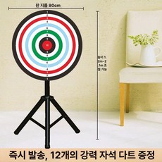 대형 마그네틱 다트판 축제 과녁판 다트 룰렛 보드 게임, 자석 80cm 12개 포함 A, 1개
