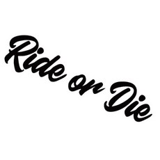 레이싱 노트북 오토바이 헬멧 트렁크 서핑 캠핑카 윈도우 범퍼 데칼 16.6CMX4CM 라이드 또는 다이 자동차 스티커, 2)G145 BLACK