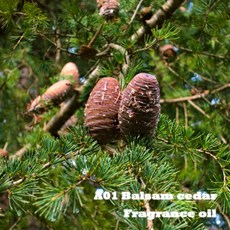 프래그런스 오일 A01 발삼앤시더 디퓨저 향수 향오일, 1개