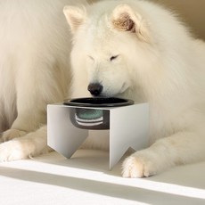 강아지 식기 받침대 반려동물 밥그릇 스탠드 고양이 물그릇 거치대 국산 스틸, 1개, 라이트 그레이 (8301.P81-2)