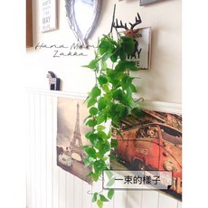 綠蘿葉 仿真植物 壁掛 105CM, 精靈綠蘿一束, 1個