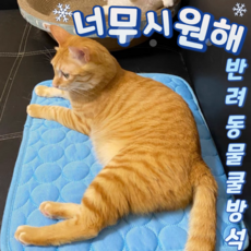 세르몰 시원하고 쾌적한 반려동물 쿨방석, 연핑크, 1개