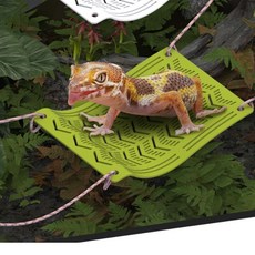 거북이 침대 흡착 파충류 쉼터 놀이터 소형 거북이쉼터 거북이키우기 육지거북이, 소형그린_x000D_