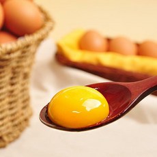 [파손보상] HACCP 난각번호 1번 유정란 20구, [푸르젠][HACCP] 난각번호 1번 유정란 20구, 1개