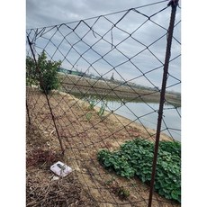 菜瓜網，百香果葡萄爬藤網，耐曬尼龍網，黑色網線，網格洞口20公分，可多件銜接, 1個, 2米厘線8尺高乘10尺長