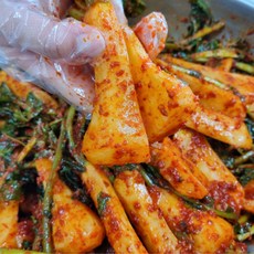 일품김치 총각김치 5kg (국내산), 1개