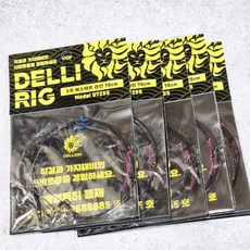 델리온 델리리그 2세대 쭈꾸미 갑오징어 프리리그 유동 가지채비, 5개, 혼합 5개, 혼합
