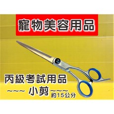 四寶的店 寵物美容剪刀 小剪刀 基礎 學習 修毛刀 犬 貓 狗 毛小孩 理髮 小修剪 寵物美容考試用品 源杏, 1個, 寵物美容  小剪刀