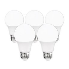 라인라이팅 LED 샤인 벌브 12w, 5개, 주광색