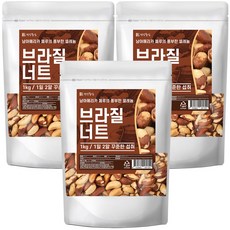 건강중심 100% 페루 브라질너트 1kg, 3개