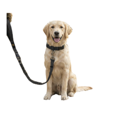 윌리펫 편한 강아지 리드줄, 1개, 블랙