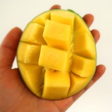 페루 고당도 프리미엄 애플망고 켄트 애플망고, 1박스, 애플망고 2kg 내외 (4-5과 내외)