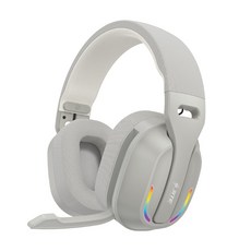 JITE 電競耳機，沉浸式音效，舒適配戴，高靈敏度麥克風，炫彩RGB燈光，多平台兼容, 深灰色, B500