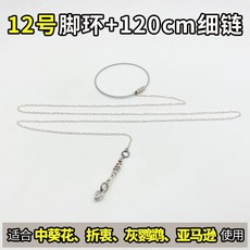 台灣發貨 統編 限時5折 鸚鵡腳鏈子小鳥腳環虎皮玄鳳牡丹腳圈牽引繩放飛繩子站架鳥鏈用品, 12號腳環+腳鍊（總長125cm）, 1個