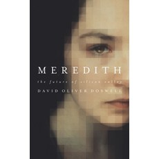 Meredith: The Future of Silicon Valley Paperback, Independently Published