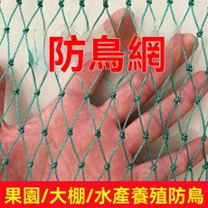 桃園出貨 果園防鳥網 果樹網 防護網 防鳥網 保護網 養雞尼龍網 果樹防鳥用網 大棚尼龍線 防鳥網 養殖網 養雞網, 1個, 【全新料】6股2.5釐米孔【抗老化】,1米寬50米長