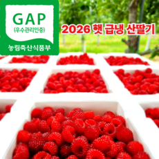 포항 햇 산딸기 냉동산딸기 산지직송 500g 1kg 2kg, 250g, 4개