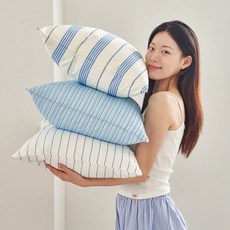 [아망떼] 드림웰 스트라이프 알러지케어 베개커버 50x70 6color 1장, 색상:스트라이프 블루 / 구성:50x70cm 1장