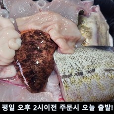 [원물 4kg급] 국내산 손질 대구 생대구, 1개, 1kg(원물4kg급) x 1