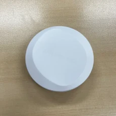 정샘물 프로래스팅 결 핏 메쉬 쿠션 14g, 19 페어라이트, 1개