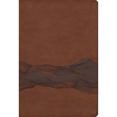 (外文書)Niv Timeline Bible Leathersoft Brown Red Letter Comfort Print: A Chr... Imitation Leather, Zondervan, English