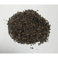 도라지씨앗 10 g, 1개