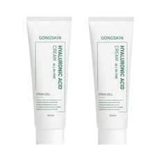 공스킨 저자극 수분 탄력 케어 줄기세포 히알루론산 올인원 크림, 2개, 100ml